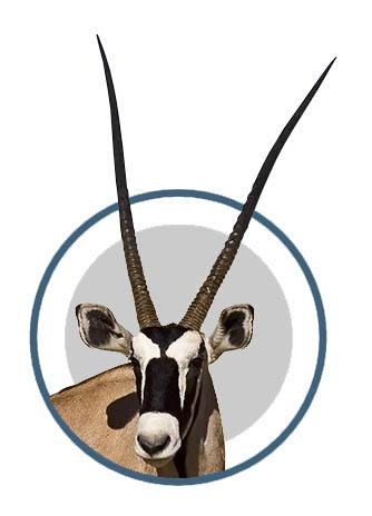 Blesbok