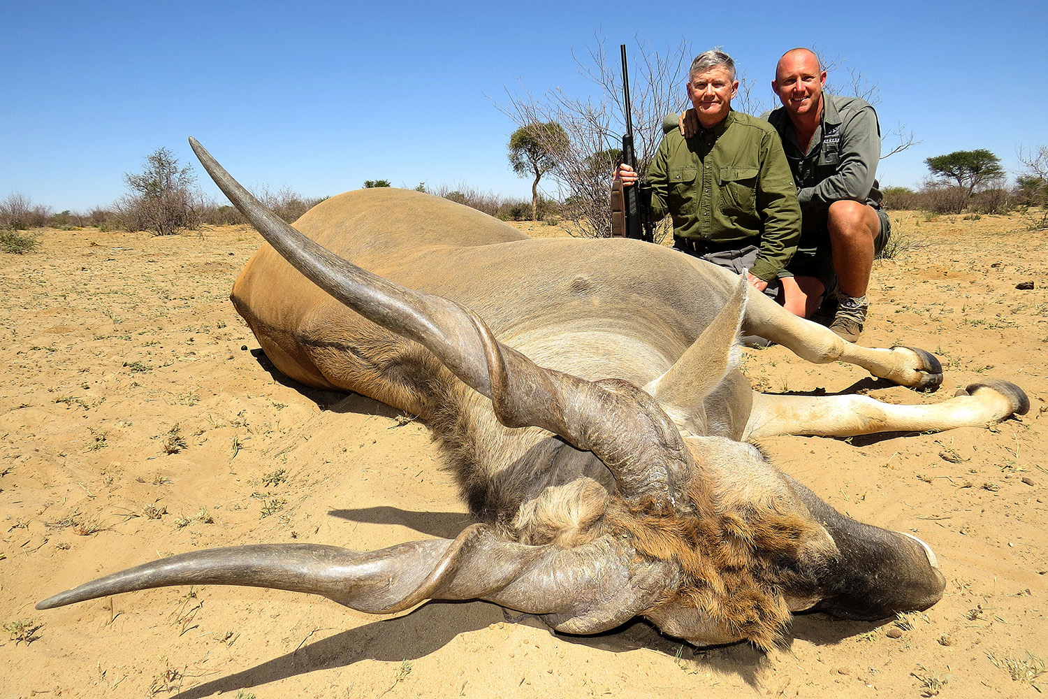 Eland (10) copy