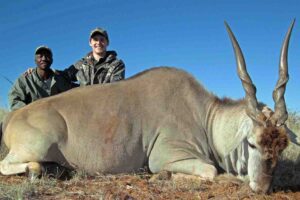 Eland (13) copy