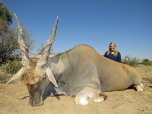 This hunt ended in a big eland trophy with Coenraad Vermaark Safaris in Africa