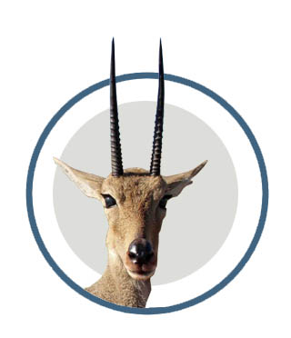 vaalrheboky